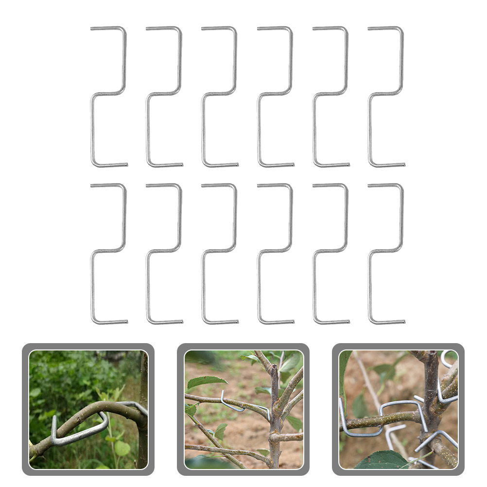 Bonsai Gardener - 1 Set Plantentakken-Spreidclips Stevig Gereedschap voor