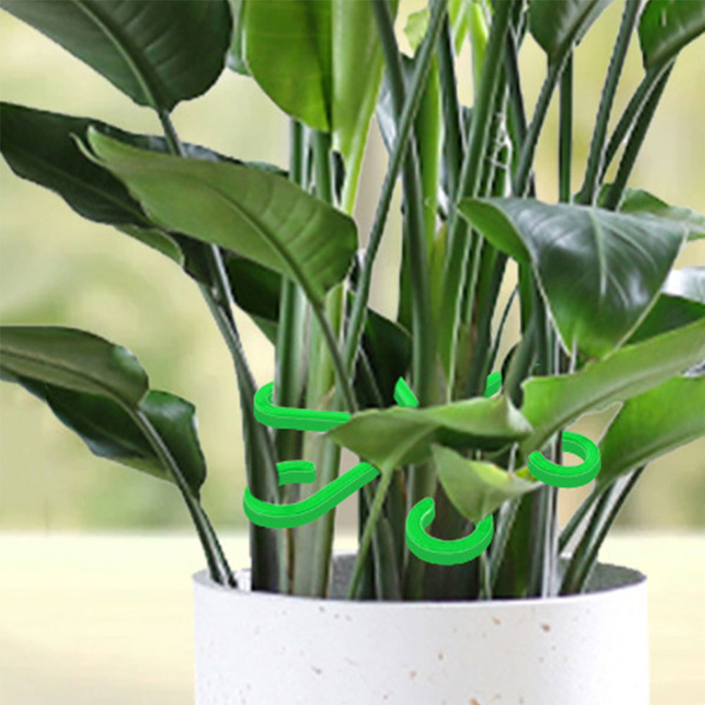 Bonsai Gardener - 12 stuks plantenstamhouders, plastic steunclips voor