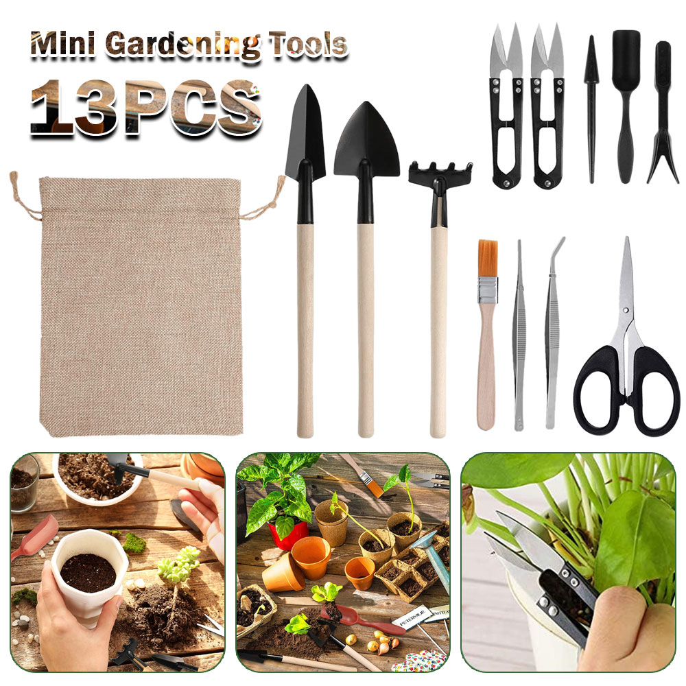 Bonsai Garden Miniature - Vetplanten Gereedschap Mini Tuin Handgereedschap Verplanten