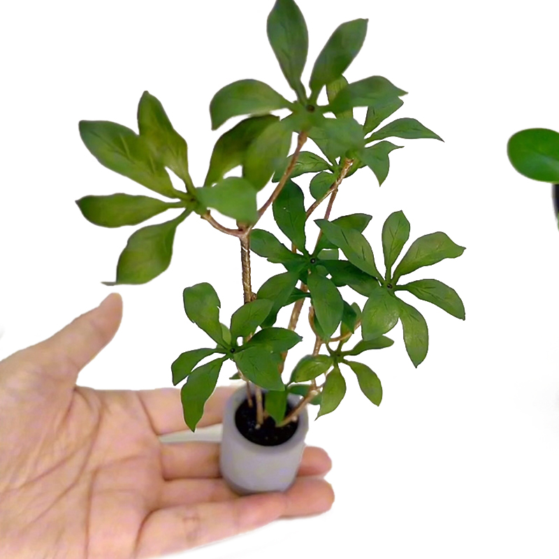1:6 Poppenhuis Miniatuur Potpl - Bonsai Garden Miniature recensie en prijs