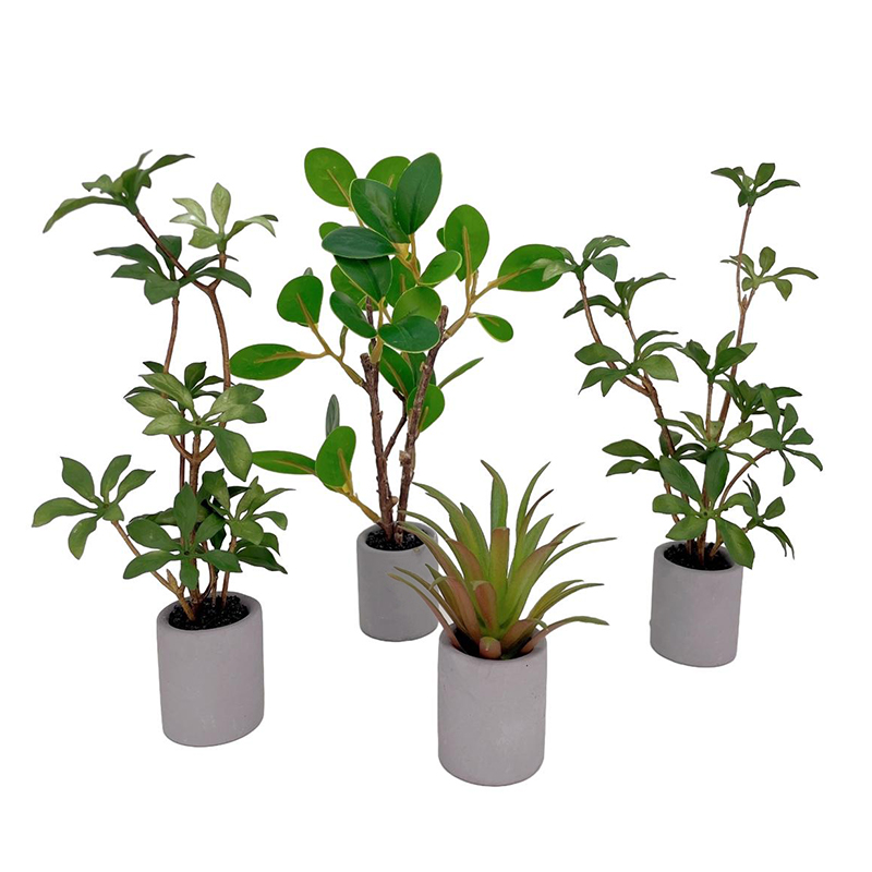 1:6 Poppenhuis Miniatuur Potpl - Bonsai Garden Miniature recensie en prijs
