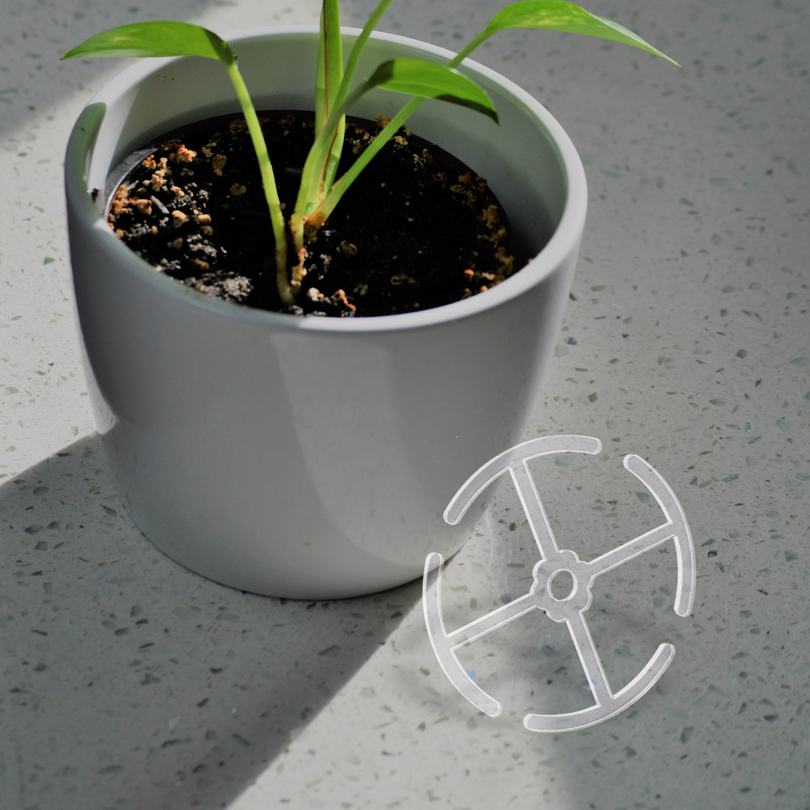 4 stuks acryl stengelsteunhoud - Bonsai Vertical Garden recensie en prijs