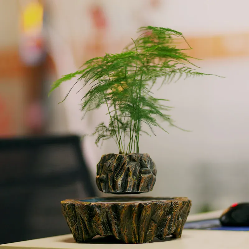 HCNT Elektrische Magnetische L - Bonsai Vertical Garden recensie en prijs