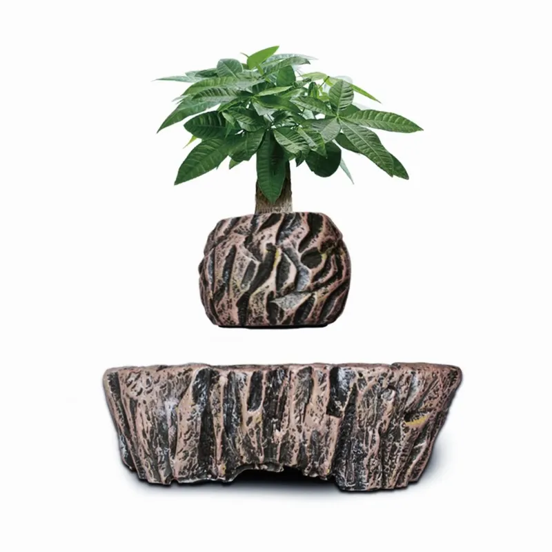 HCNT Elektrische Magnetische L - Bonsai Vertical Garden recensie en prijs