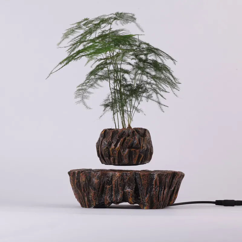 HCNT Elektrische Magnetische L - Bonsai Vertical Garden recensie en prijs
