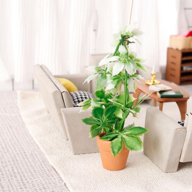 1/12 Poppenhuis Simulatie Groe - Bonsai Gardener recensie en prijs