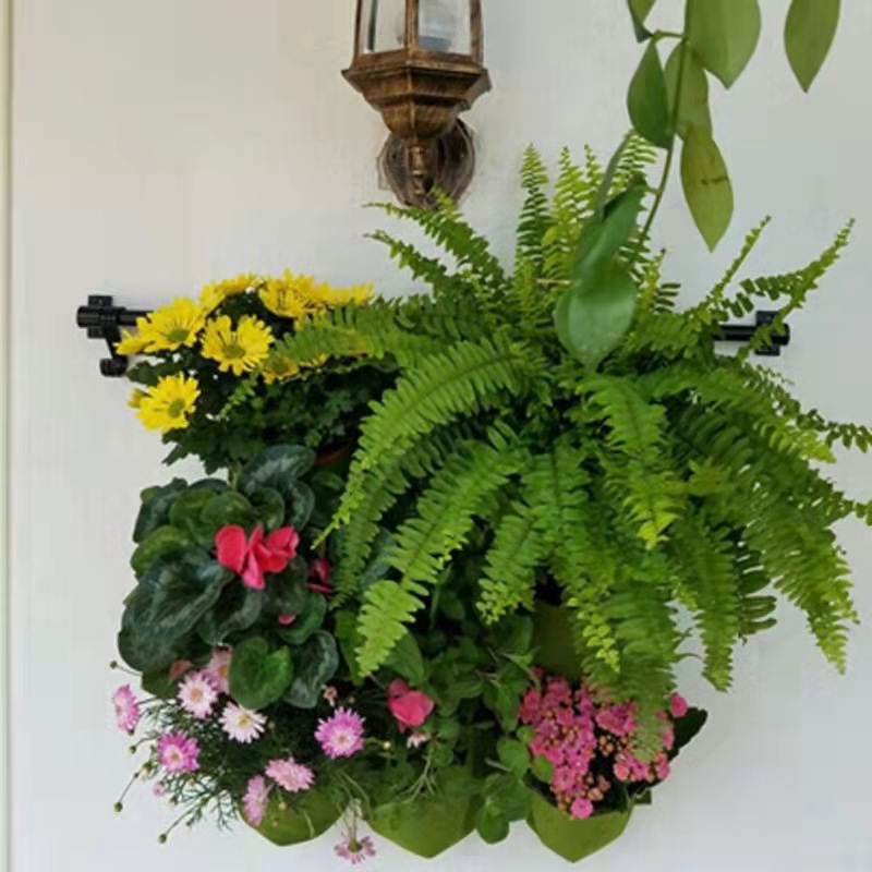 Muurhangende plantentas Meerde - Bonsai Vertical Garden recensie en prijs