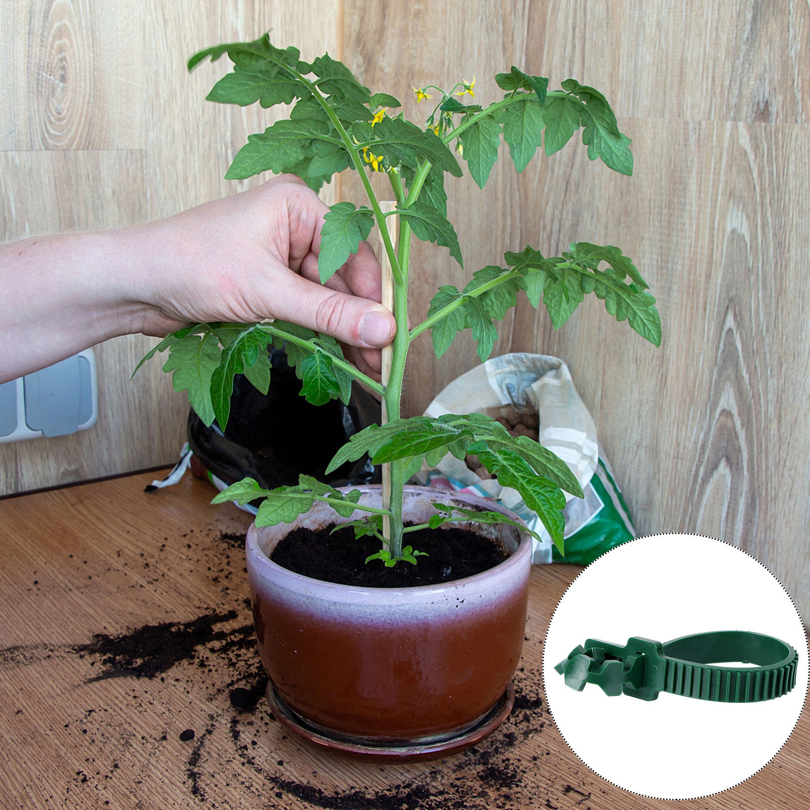 20 Stuks Wijnstok Bevestigings - Bonsai Gardener recensie en prijs