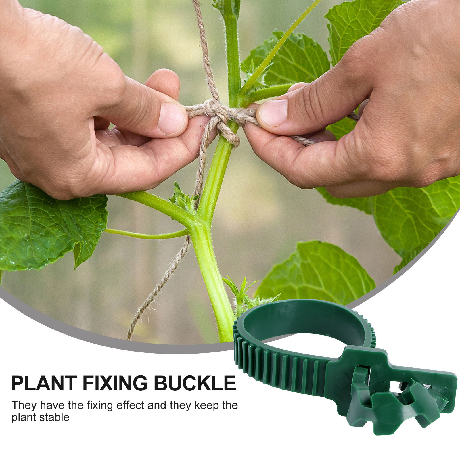 20 Stuks Wijnstok Bevestigings - Bonsai Gardener recensie en prijs