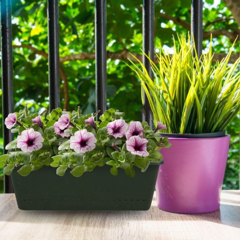 1/3PCS Plantenbak, aan de muur - Bonsai Vertical Garden recensie en prijs