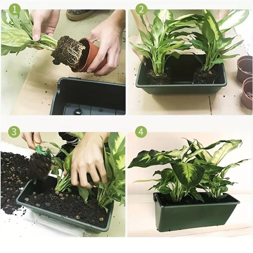 1/3PCS Plantenbak, aan de muur - Bonsai Vertical Garden recensie en prijs