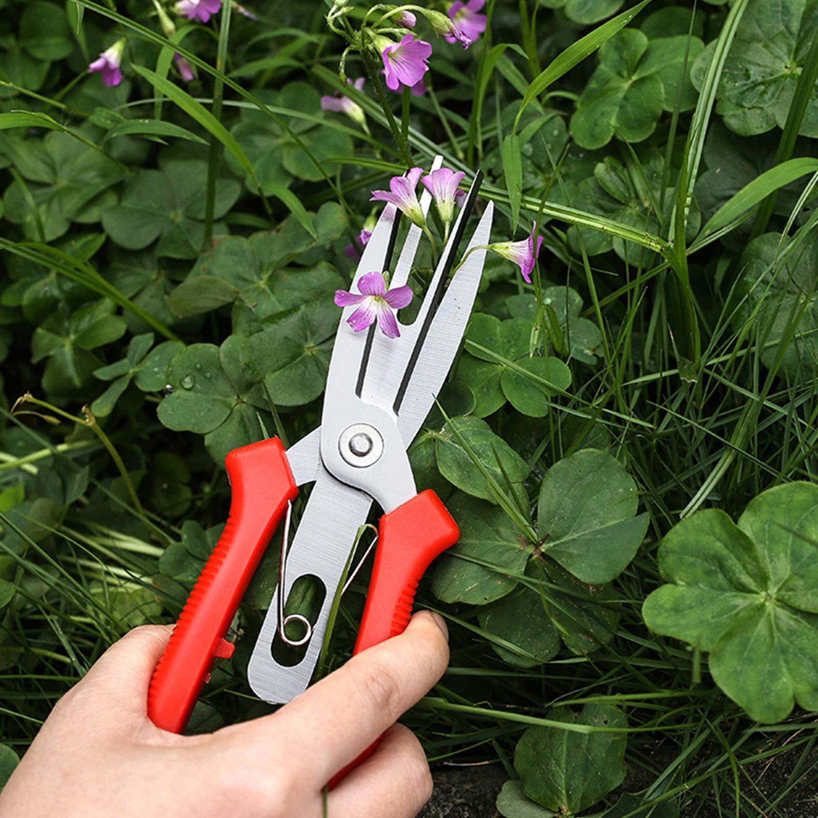 Tuinschaar Roestvrij staal Erg - Bonsai Gardener recensie en prijs