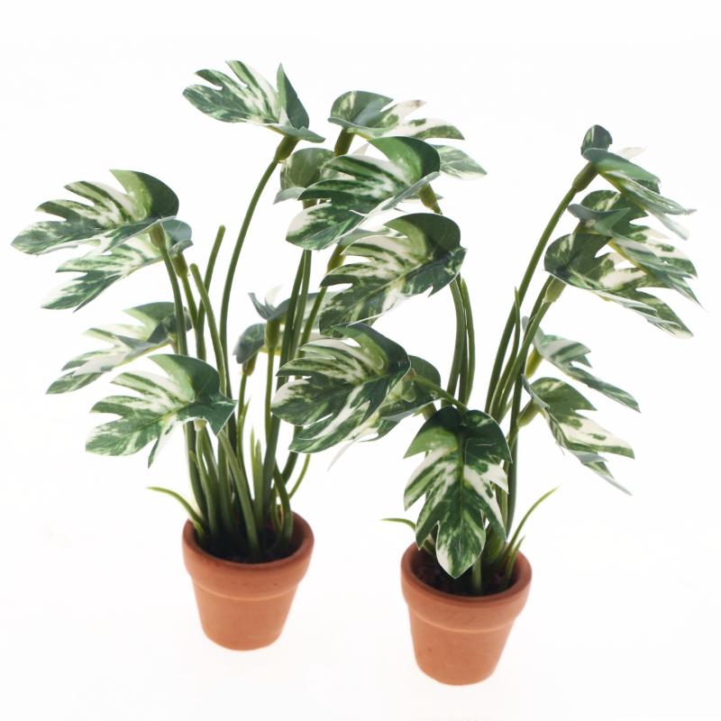 New.1PC 1/12 Poppenhuis Simula - Bonsai Gardener recensie en prijs