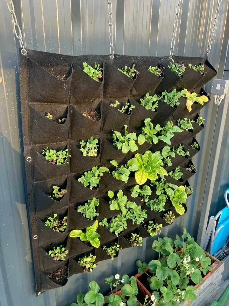 YesWall Hangende plantenzak Me - Bonsai Vertical Garden recensie en prijs