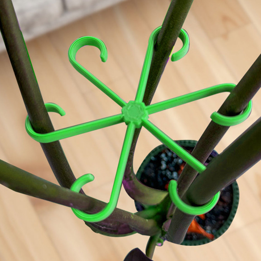 12 stuks plantenstamhouders, p - Bonsai Gardener recensie en prijs