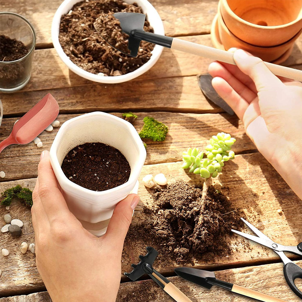 Vetplanten Gereedschap Mini Tu - Bonsai Garden Miniature recensie en prijs